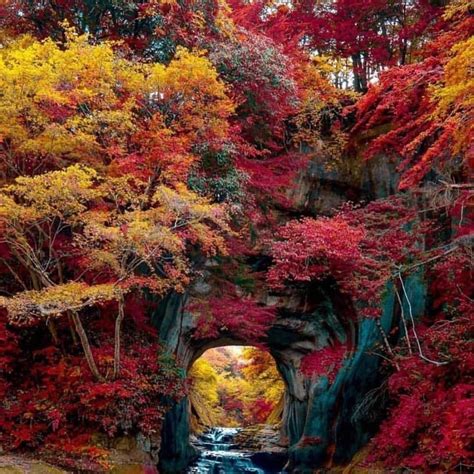 Chiba, Japonya | Nature photography, Autumn in japan, Amazing nature