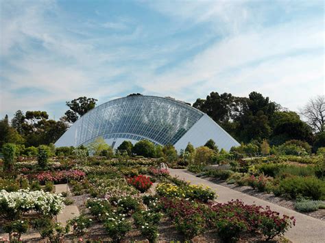 Experience Adelaide Bicentennial Conservatory