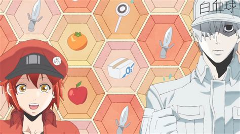 6 Educational Animes That Teach You Things Geek Gals