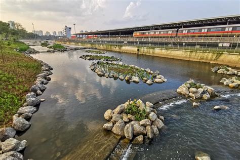 Kallang River Now Has Greenery Meandering Streams And Rain Gardens After