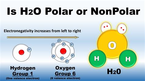 Water is a polar molecule example polar molecules ammonia (nh3) sulfur dioxide (so2) hydrogen sulfide (h2s) nonpolar molecules a molecule may be nonpolar either when there. Is H2O Polar or Nonpolar ( in Urdu / Hindi) | Covalent ...