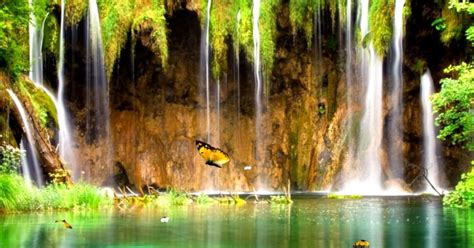 See more ideas about moving wallpapers, patriotic pictures, military quotes. Moving Wallpapers With Sound | Free Best Hd Wallpapers