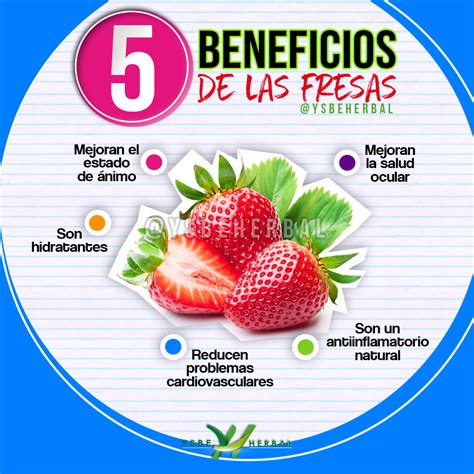 Infografias Beneficios De Las Fresas The Best Porn Website
