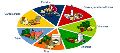 Qué Son Los Nutrientes Piensa En Salud