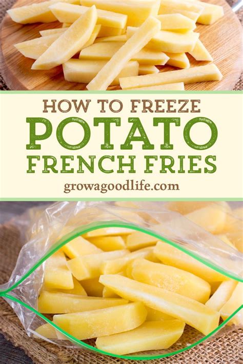 how to freeze potato french fries frozen potatoes freezing food guide homemade french fries