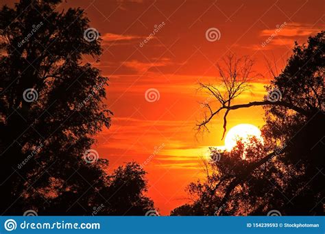 Kansas Blazing Sunset With Tree Silhouettes And Clouds Stock Image - Image of clouds, blazing ...
