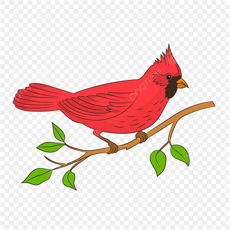 Red Cardinal Bird Png Transparent Images Free Download Vector Files