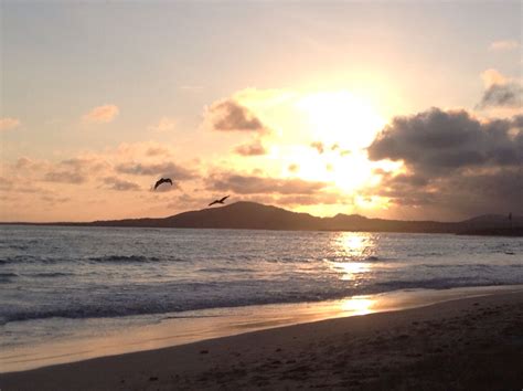 A Beautiful Sunset In Isabela Galapagos Islands Beautiful Islands