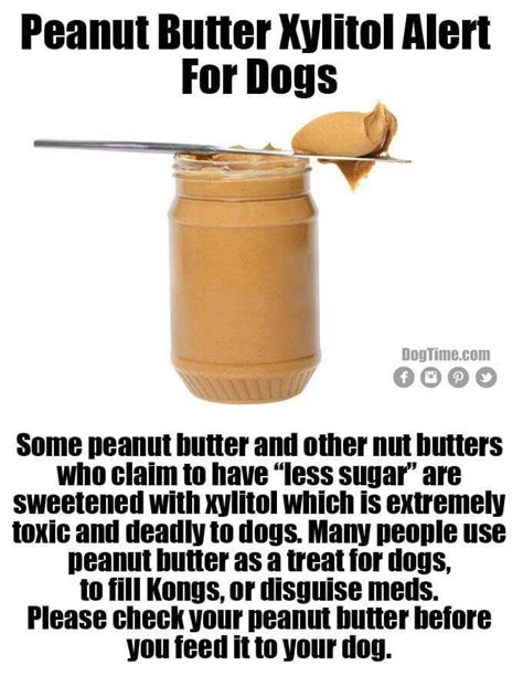 Xylitol Is Dangerous For Dogs Xylitol Peanut Butter Nut Butters