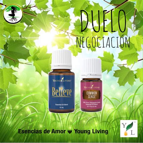 Clarity, clary sage, clove, clove vitality, & common sense are the oils up for episode c3 of abcs of young living in 123. Pack Duelo Negociación Aceite Esencial Common Sense 5ml ...