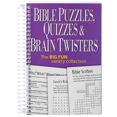 Bible Puzzles Quizzes And Brain Twisters Mini Book 9780989580236 Ebay