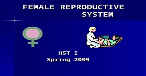 Ppt Female Reproductive System Hst I Spring 2009 External Gross