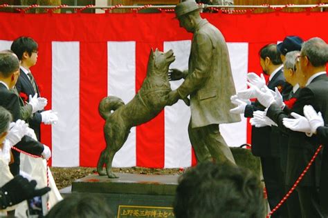 90 Years Later The Legendary Dog Hachiko Finally Reunited With His