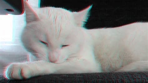 Stereoscopic 3d Test 3d Cat 1080p Hd Click Fullscreen Only