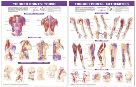 Myofascial Release Trigger Point Therapy Chiropractic Near Me