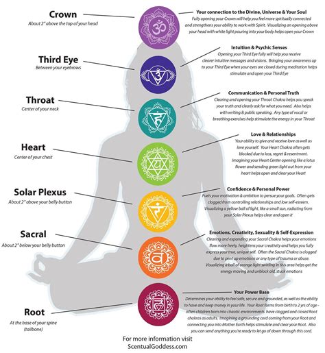 Guided Chakra Meditation Balancing Healing Yoiki Guide