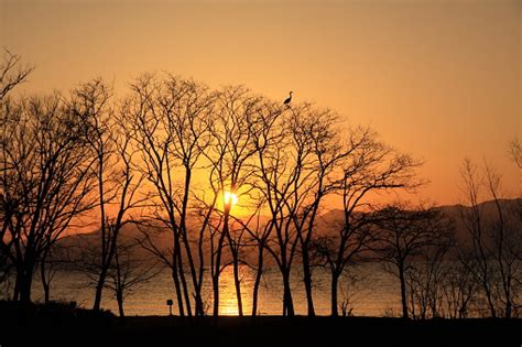 The Setting Sun From The East Bank Of Lake Biwa Stock Photo Download