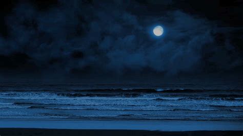 Moonlight Beach Wallpaper