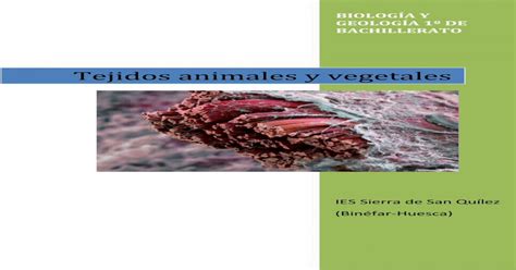 Tejidos Animales Y Vegetales Caaragones€¦ · BiologÍa Y