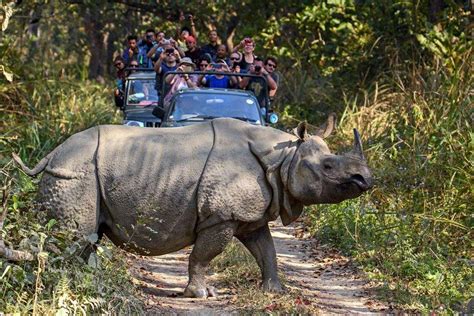 Chitwan National Park Tour 2 Nights 3 Days Jungle Safari Package For