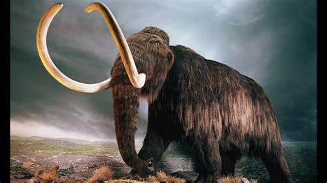 7 Extinct Animals That May Still Be Alive Youtube