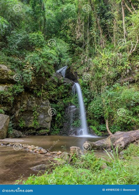 Evergreen Forest Waterfall Thailand Stock Photo Image Of Travel