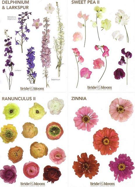 Flower Chart Pannelli Di Fiori Fiori Natura E Bellezza