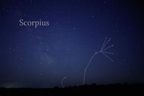 Curious About Scorpio The Scorpion Find Out The Story Behind The Star