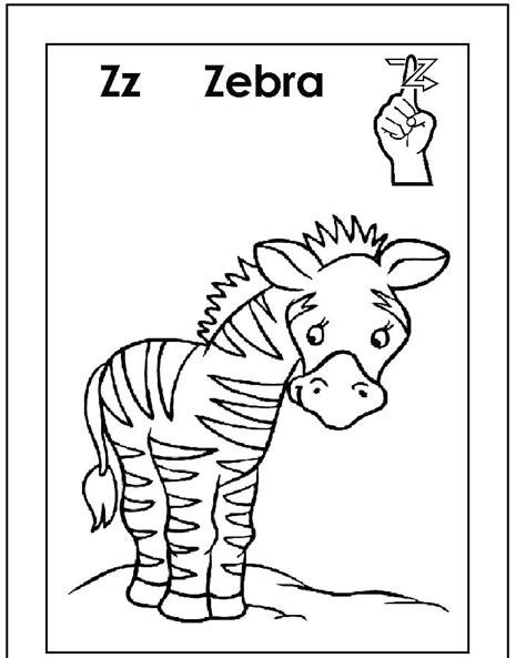 Baby Zebra Coloring Pages Animals Bluelotusdc Best Coloring Pages
