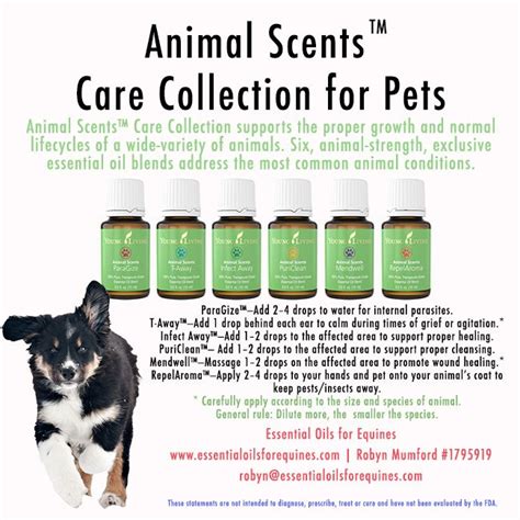 Essential oils can be great natural alternatives for treating a wide array of health concerns without having to resort to expensive and potentially harmful the answer to the question are essential oils safe for cats? isn't a simple one. Young Living Animal Scents - you can buy separately now ...