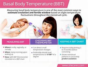 Why How To Track Your Basal Body Temperature Bbt Artofit