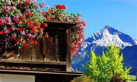 Mountains Cottage Greenery Europe Wooden Nature Summer Mountain