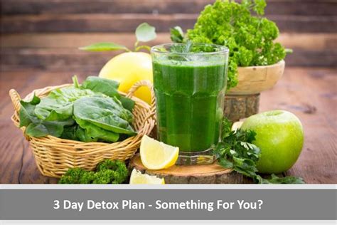 3 Day Detox Plan Something For You • Health Guide Reviews