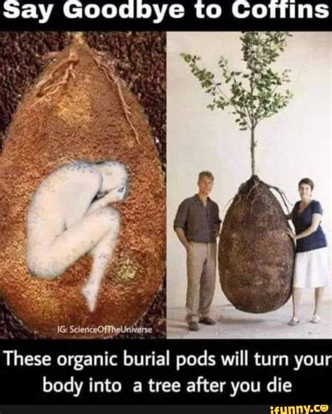 Say Goodbye To Cofttins Sciedceoftheuniverse These Organic Burial Pods Will Turn Your Body Into