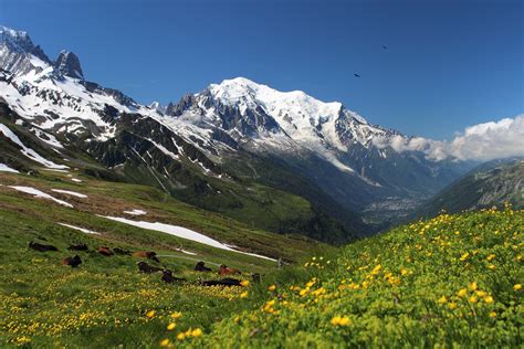 Your Full Mont Blanc Trekking Guide Adventure Traveltravel Experta