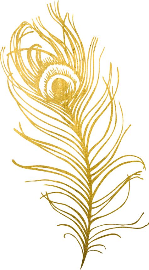 Discover And Download Full Size Gold Peacock Feather Png You Can Find
