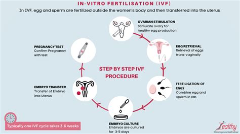 The Five Stages Of Ivf Grants For Medical