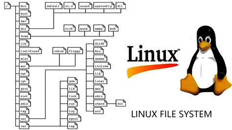 Linux File System Shell Scriptsfileskernel Study Read Educate