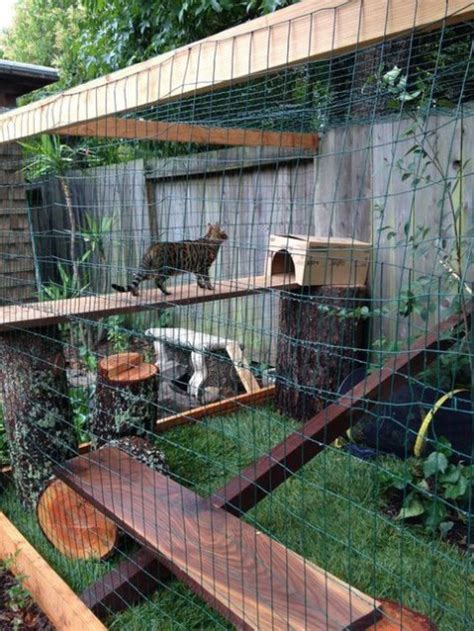 And can you show photos. 51 Outdoor Cat Enclosures Your Cat | ComfyDwelling.com