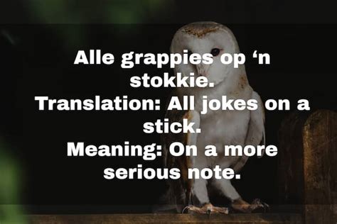 35 Best Afrikaans Idioms And Proverbs With English Meanings Za