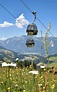 Wiedersbergerhornbahn Alpbach | Alpbachtal