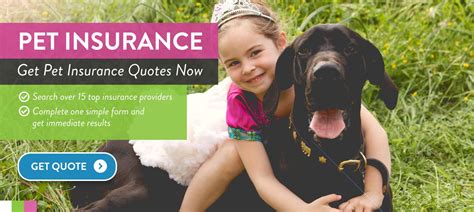 Compare Pet Insurance for Cats & Dogs at Utility Saving ...