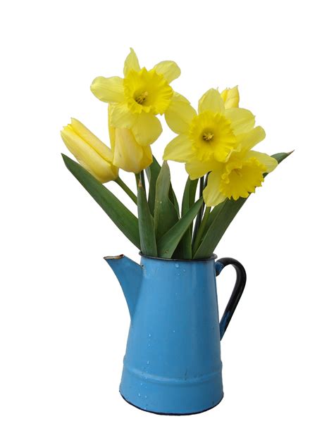 Put Your Old Watering Cans To Good Use Flower Press