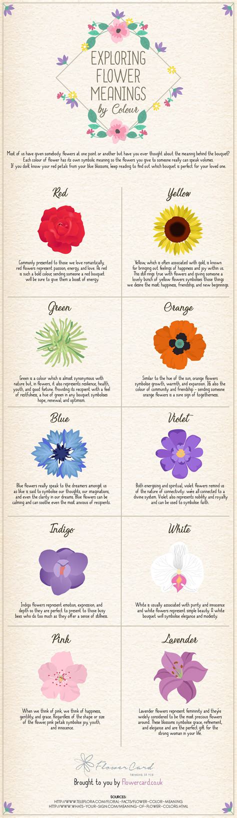 Exploring Flower Meanings By Colour Infographic — Flowercard