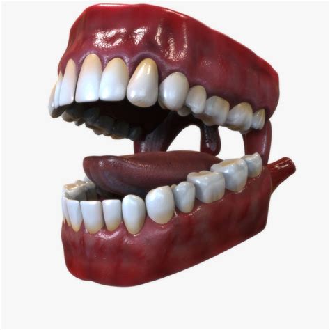 Realistic Human Mouth Teeth Tongue Rigged 3d Model 139 Fbx Ma Obj