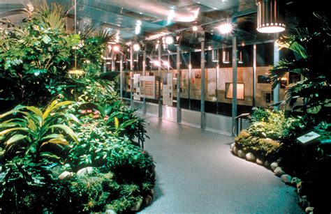 American Museum Of Natural History Hall Of Human Origins Perkins Eastman