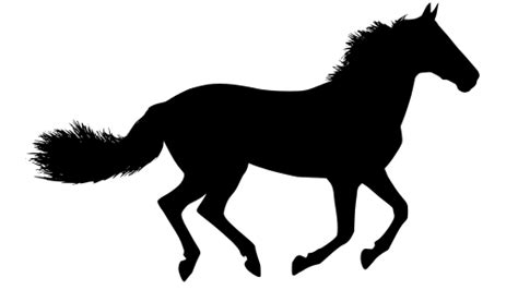 Svg Cartoon Horse Wild Free Svg Image And Icon Svg Silh