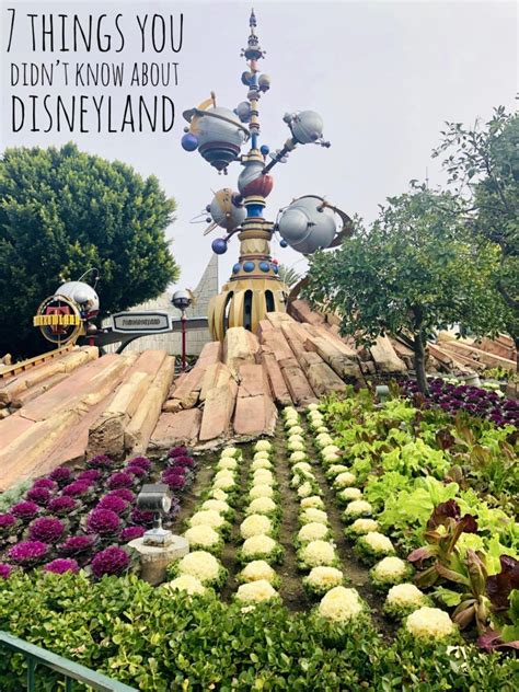 7 Things You Didnt Know About Disneyland In Fine Taste Disney