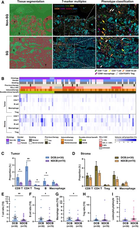 Characterization Of Immune Cell Subset Infiltration In Advanced Nsclc Download Scientific