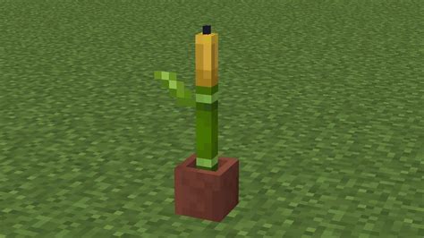 How To Make Corn In Minecraft Youtube